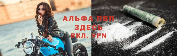 индика Баксан