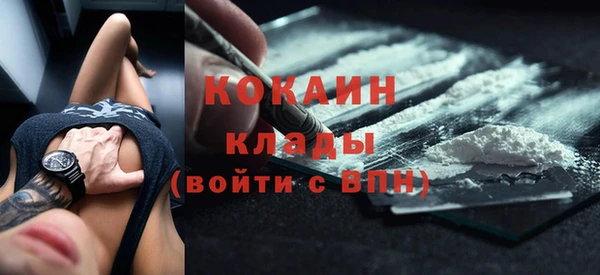 индика Баксан