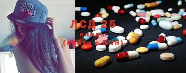 индика Баксан