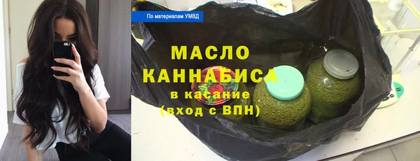 индика Баксан