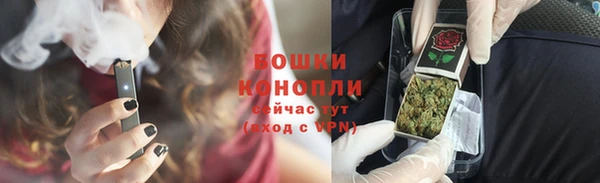 индика Баксан
