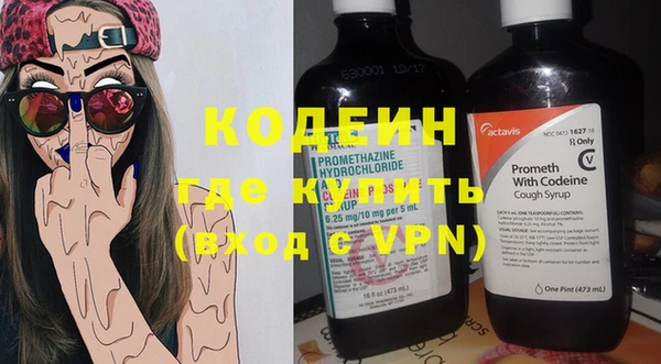 индика Баксан