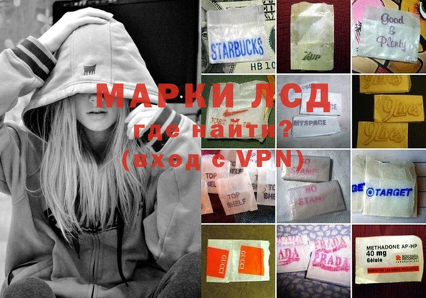 индика Баксан