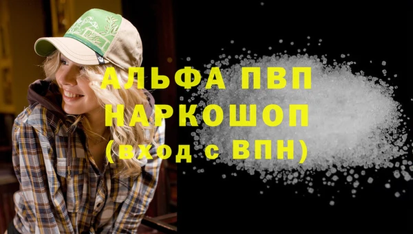 индика Баксан