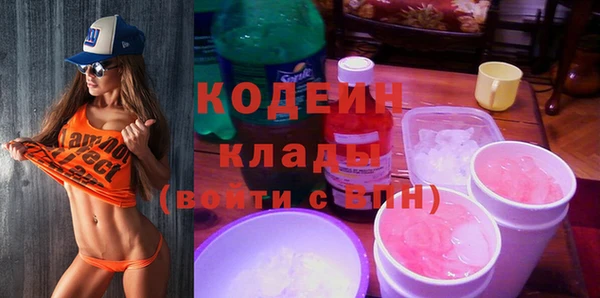 индика Баксан