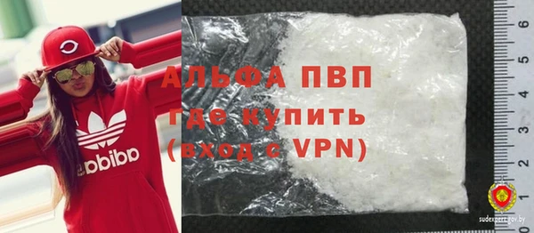 индика Баксан