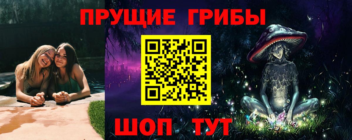 Псилоцибиновые грибы GOLDEN TEACHER  Гудермес 