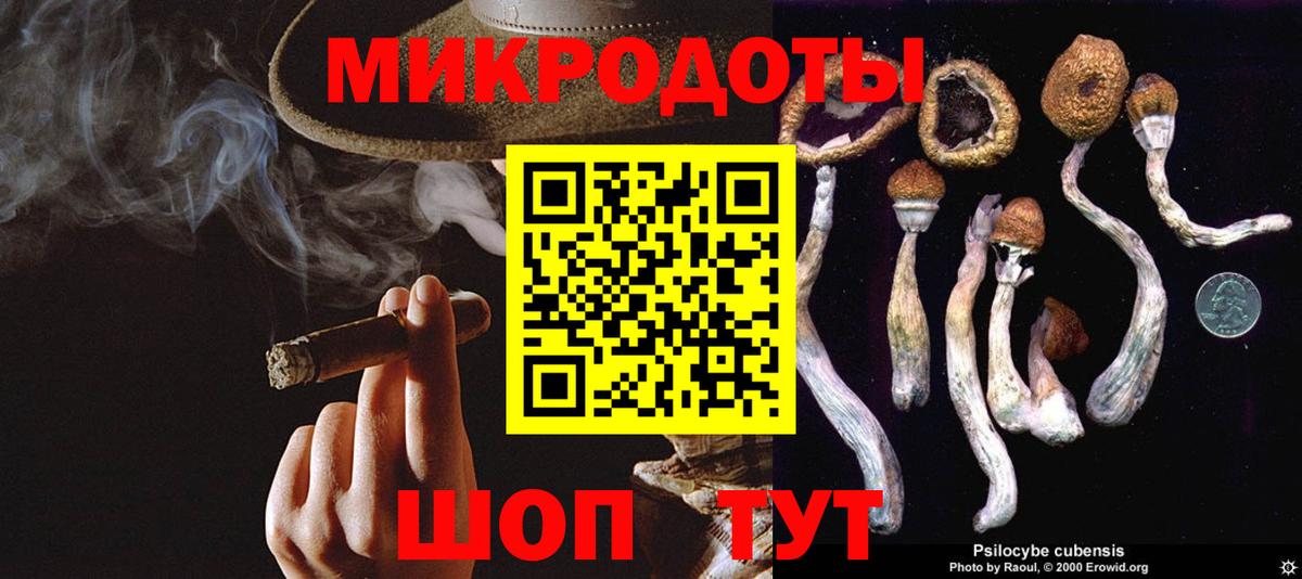 Псилоцибиновые грибы прущие грибы  Вход с VPN  Псилоцибиновые грибы мухоморы  Гудермес 
